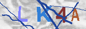 キャプチャ画像