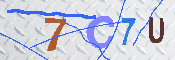 キャプチャ画像