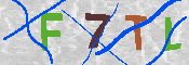 キャプチャ画像
