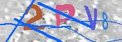 キャプチャ画像