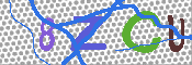 キャプチャ画像