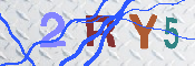 キャプチャ画像