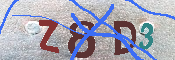 キャプチャ画像