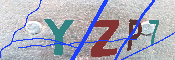 キャプチャ画像
