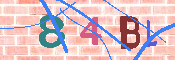 キャプチャ画像