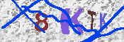 キャプチャ画像