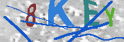キャプチャ画像