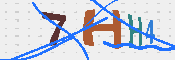 キャプチャ画像
