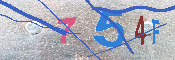 キャプチャ画像