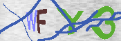 キャプチャ画像