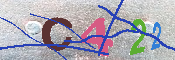 キャプチャ画像