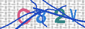 キャプチャ画像
