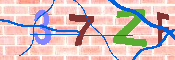 キャプチャ画像