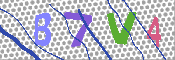 キャプチャ画像