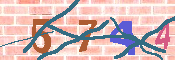 キャプチャ画像