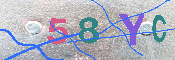 キャプチャ画像