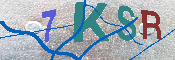 キャプチャ画像