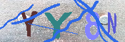 キャプチャ画像