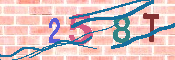 キャプチャ画像