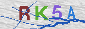 キャプチャ画像