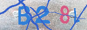 キャプチャ画像