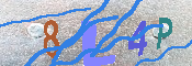 キャプチャ画像