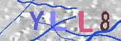 キャプチャ画像