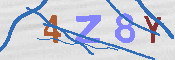 キャプチャ画像