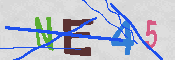 キャプチャ画像