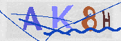 キャプチャ画像
