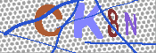 キャプチャ画像