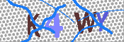 キャプチャ画像