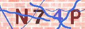 キャプチャ画像