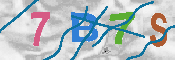 キャプチャ画像