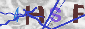 キャプチャ画像