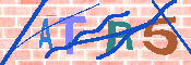 キャプチャ画像