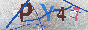 キャプチャ画像