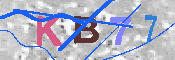 キャプチャ画像