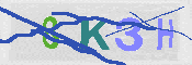 キャプチャ画像