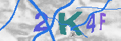 キャプチャ画像