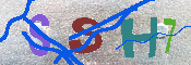 キャプチャ画像