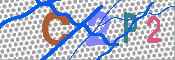 キャプチャ画像