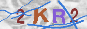キャプチャ画像