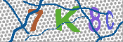 キャプチャ画像