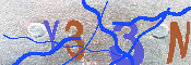 キャプチャ画像