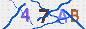 キャプチャ画像
