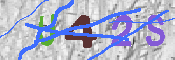 キャプチャ画像