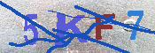 キャプチャ画像