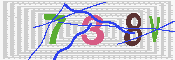 キャプチャ画像