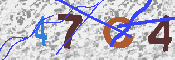 キャプチャ画像
